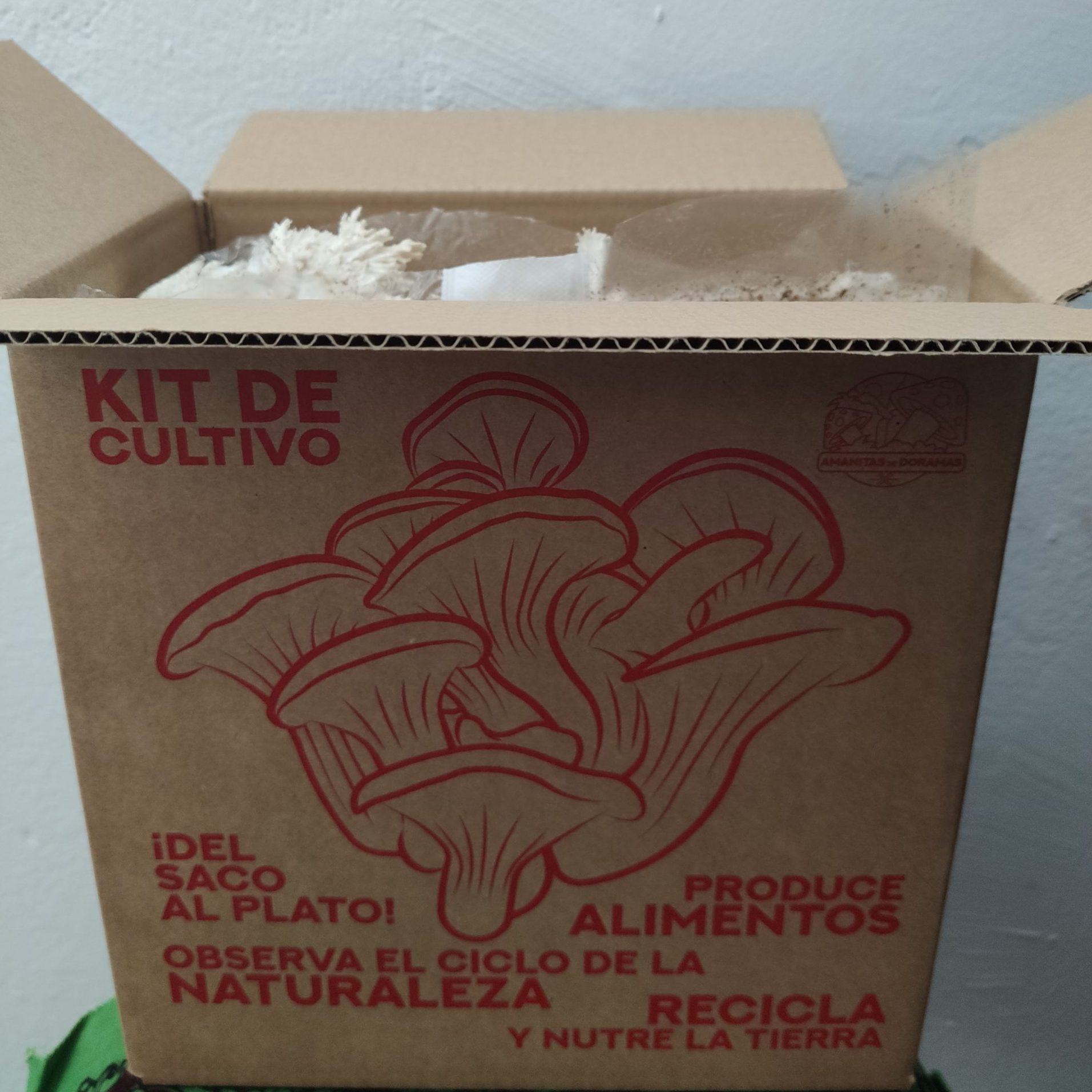Caja de cartón con Kit Autocultivo de setas de ostra