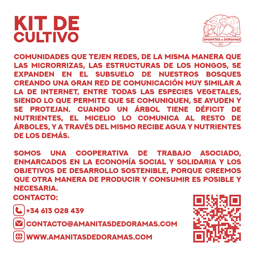 Kit Autocultivo de setas de ostra - Información contacto