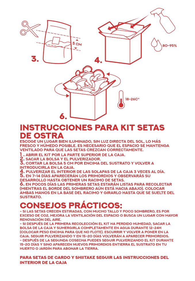 Kit Autocultivo de setas de ostra - Instrucciones