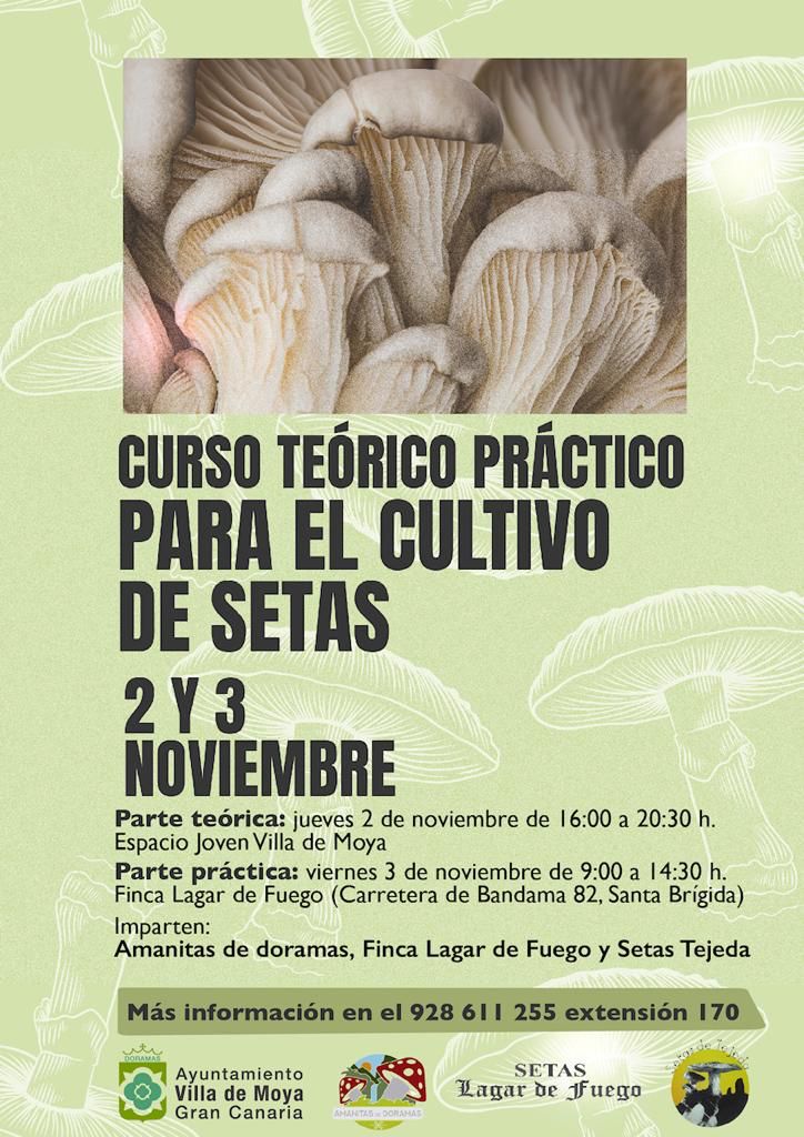 Cartel curso cultivo Setas Moya 2023