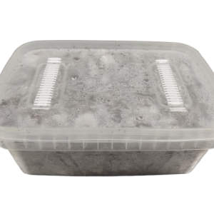 Tupper/pan setas
